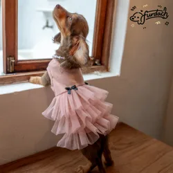 Vestido con encaje para Dachshund – Rosa y morado, algodón de primavera
