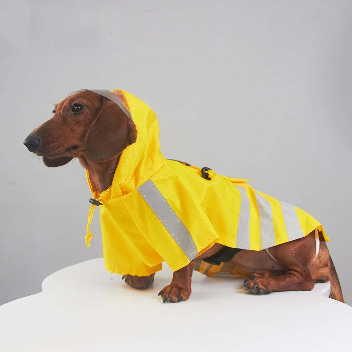 Chaqueta reflectante para perros salchicha, impermeable amarillo repelente al agua para perros Wiener, abrigo impermeable con capucha para perros salchicha