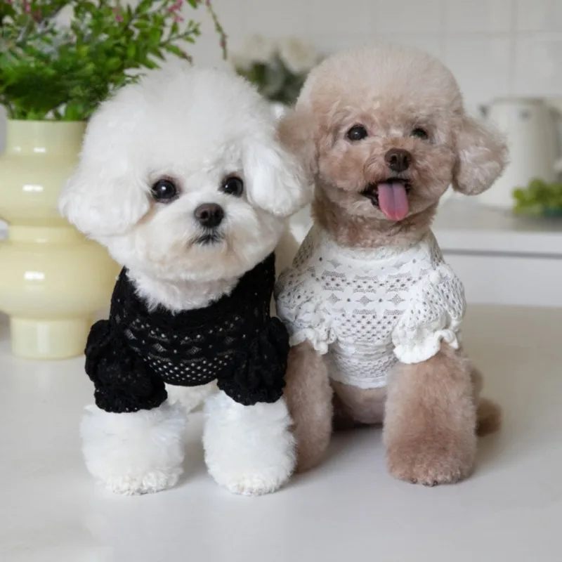 Ropa de encaje con forro de encaje para perros pequeños, camisa de diseño para cachorros, Invierno - imagen 2
