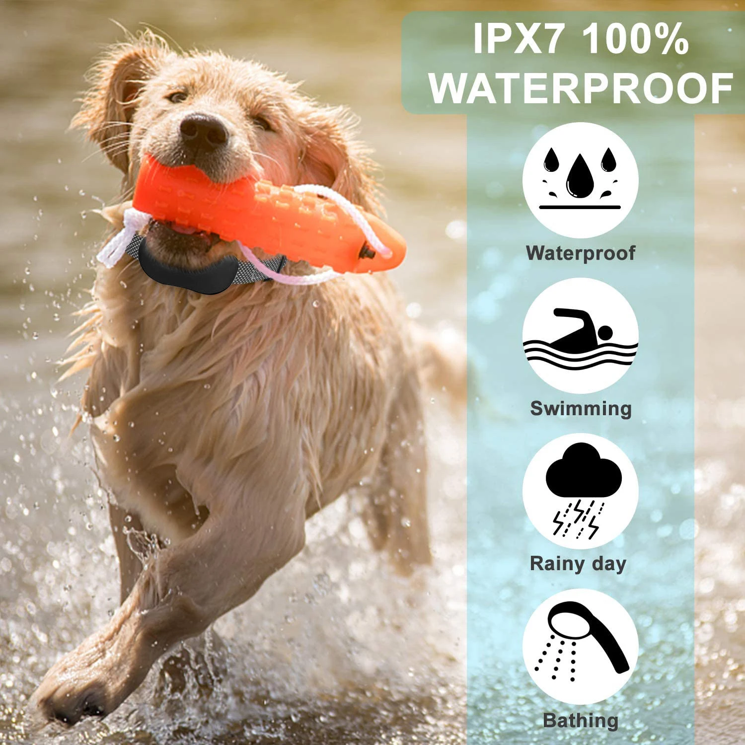 Collar antiladridos para perro, Collar eléctrico a prueba de agua IP67, control remoto, ajustable, recargable, para entrenamiento, con vibración de sonido - imagen 5