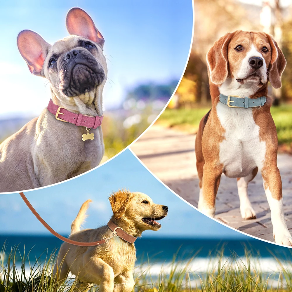 Collar de cuero PU para perro, Collar acolchado suave para perro, collares para cachorros, Collar para pastor alemán Pitbull para perros pequeños, medianos y grandes - imagen 5