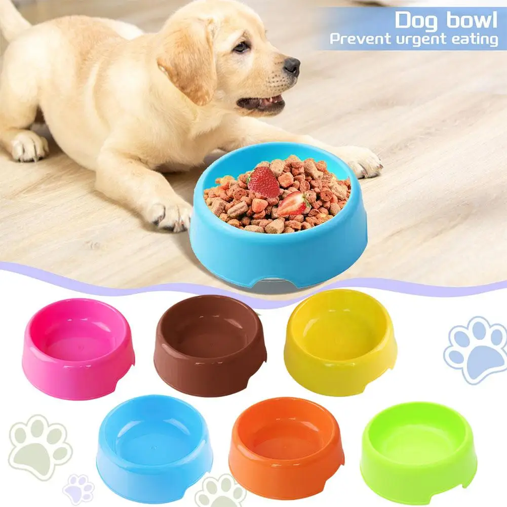 Comedero redondo antideslizante para gatos y perros pequeños - imagen 5