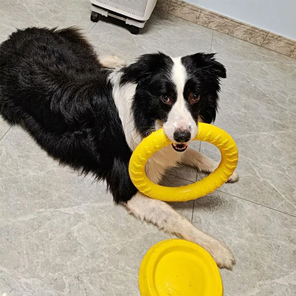 Juguetes para masticar para perros, extractor de anillos voladores para entrenar razas medianas/grandes, anillo para lanzar, atrapar y agarrar, jugar al aire libre - imagen 4