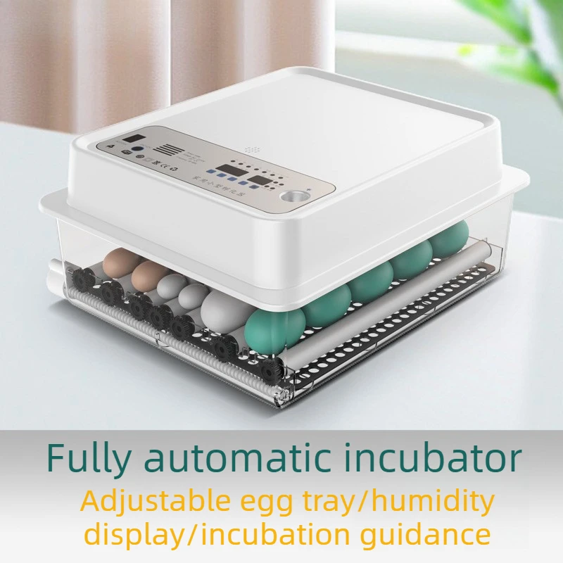 Incubadora automática para huevos – Pato, ganso y paloma