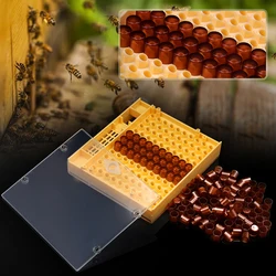 Kit celdas de cría reina abeja con panales jaula aislamiento