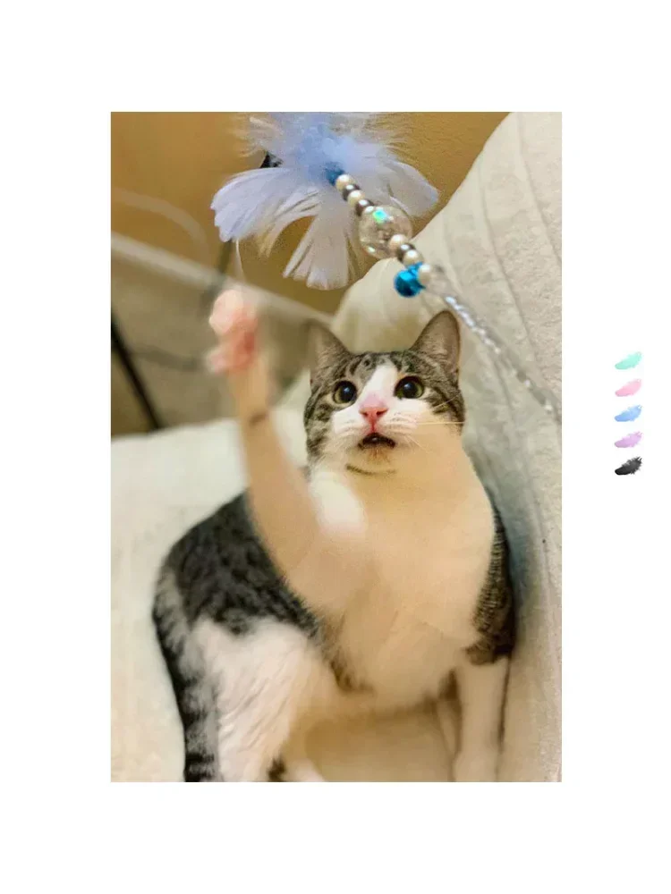 Juguetes interactivos para gatos, palo de pesca para gatos, varita de juego, palo de plumas, juguete con campana, suministros para mascotas, accesorio para gatos - imagen 2