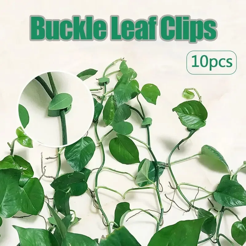 10 Uds. Clips de hojas con hebilla, hebilla fija para pared trepadora de plantas, Clips en forma de hoja, accesorios de soporte para escalador de vid y flores autoadhesivas