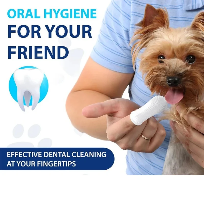 Juguetes de entrenamiento de lanzamiento interactivo para gatos, juguetes creativos para gatitos, Mini juegos de pompones, Bola de felpa elástica, suministros para gatos, accesorios para mascotas - imagen 2