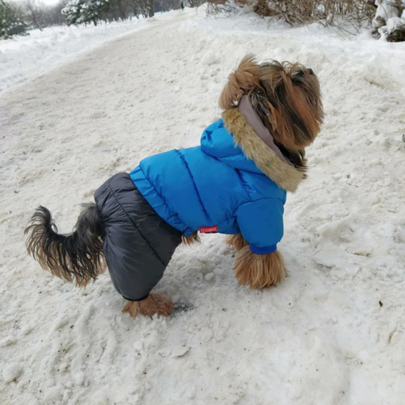 Chaqueta impermeable para perros, mono para perros pequeños, ropa cálida de invierno para mascotas, abrigo suave con capucha para cachorros, trajes de Bulldog - imagen 5