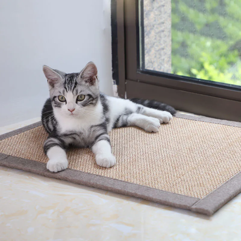 Rascador para gatos, estera protectora para sofá, amoladora de gatitos, almohadilla de molienda de garra, Protector de ropa para muebles, suministros de protección antiarañazos para gatos - imagen 5