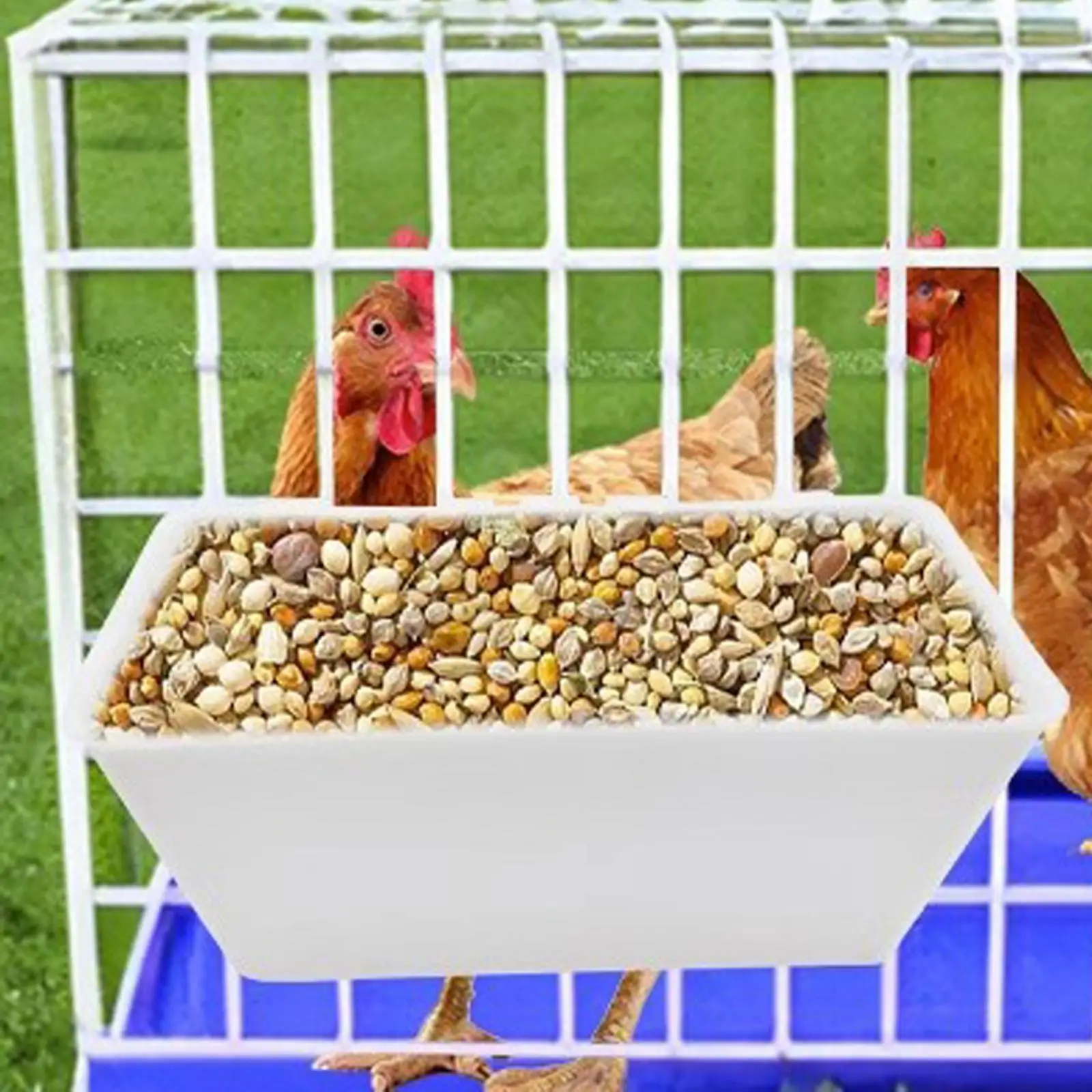 Comedero para valla colgante, comedero para cabras, comedero multiusos para aves de corral, cubo de agua para ganado, para pato, pollo, lechones, ovejas y caballos - imagen 2