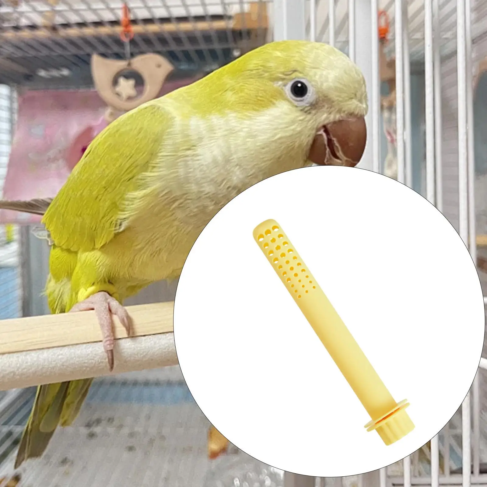 Soporte para percha para pájaros, barra de soporte para pájaros, juguetes para moler patas, jaula, calentador, Protector de Cable para periquitos, periquitos, cacatúas, piñones - imagen 3