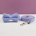 Bow Collar Leash09