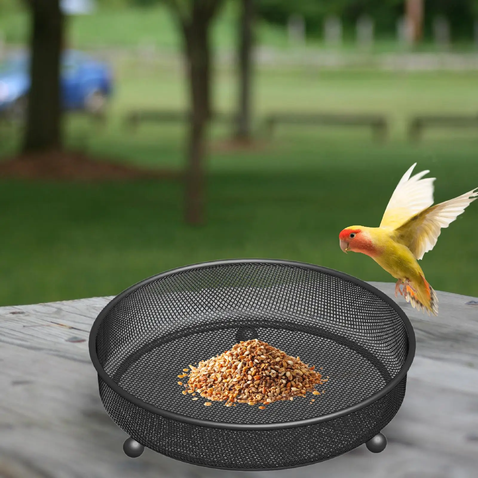 Bird Feeder Tray Landscape,Outdoor Outside Feeding Station,Iron Food Bowl,Mesh Seed Tray for Park,Porch,Yard,Balcony,Hummingbird