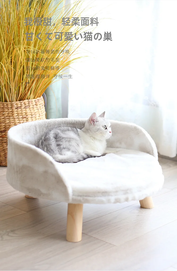 Couch cat litter _01