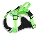 Green Dog Harness