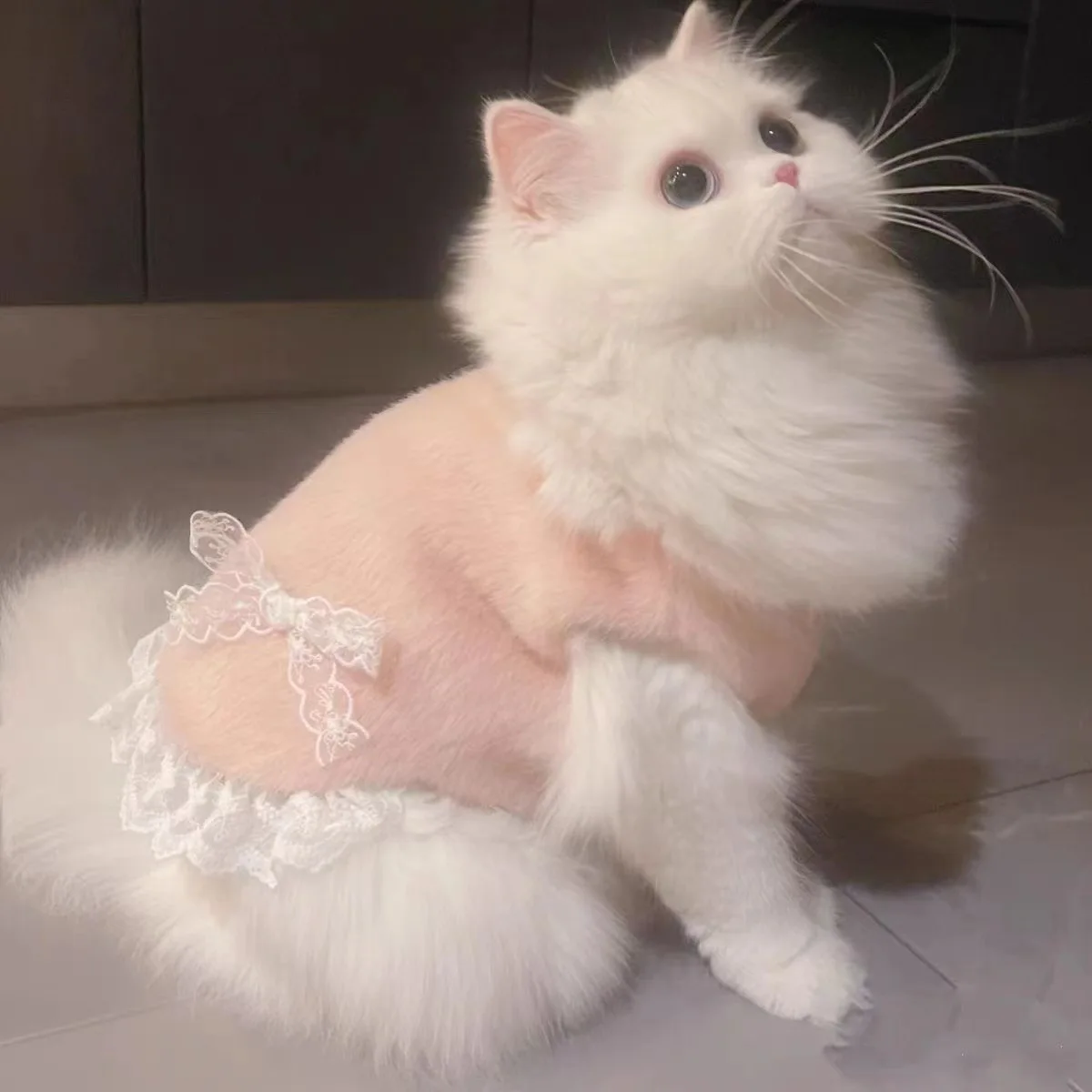 Chaleco de felpa para mascotas, chaleco de encaje bonito para perros y gatos, abrigo grueso, abrigo con lazo cálido, ropa para cachorros pequeños, otoño e invierno