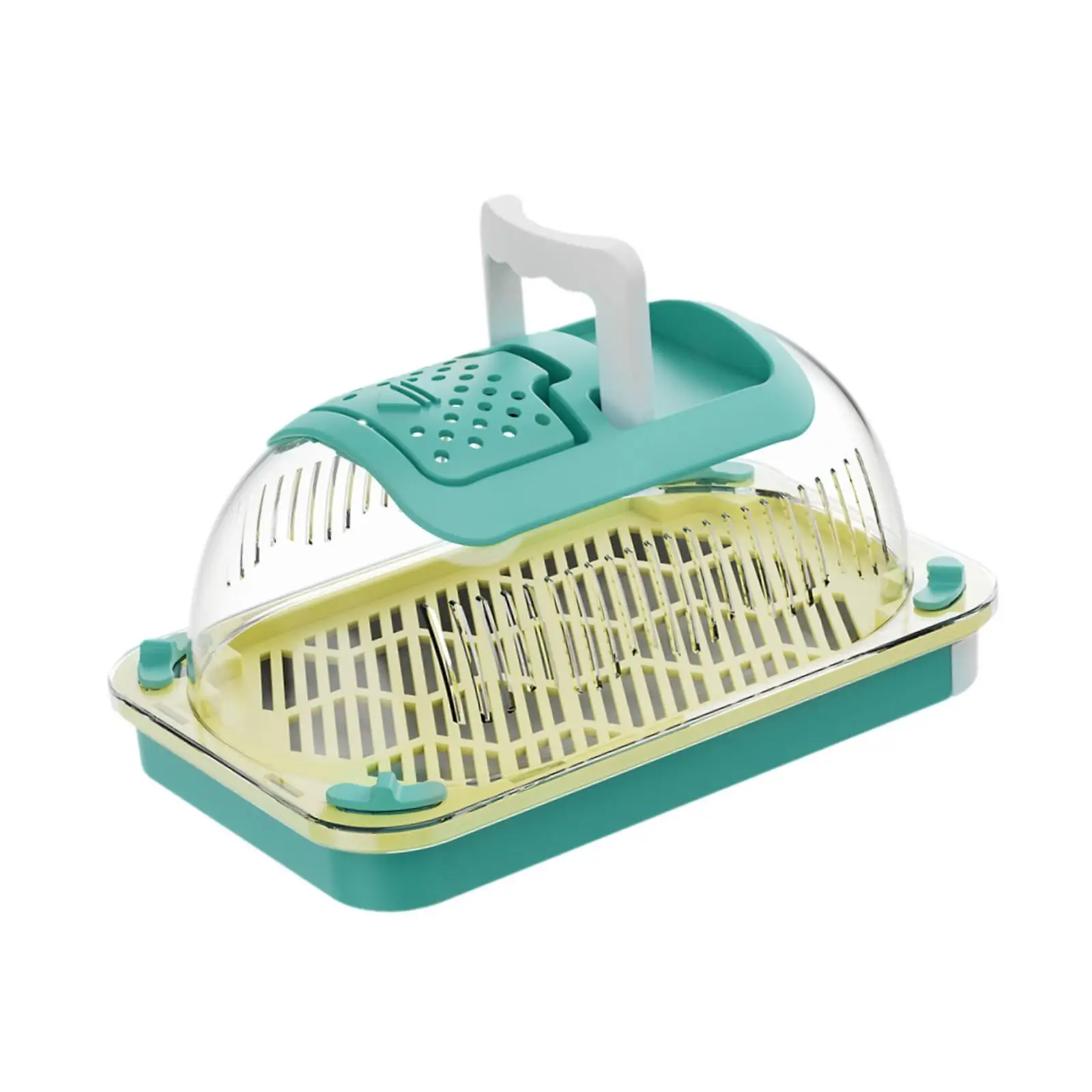 Reptile Terrarium Portable Sturdy Habitat Cage for Terrapin Tortoise