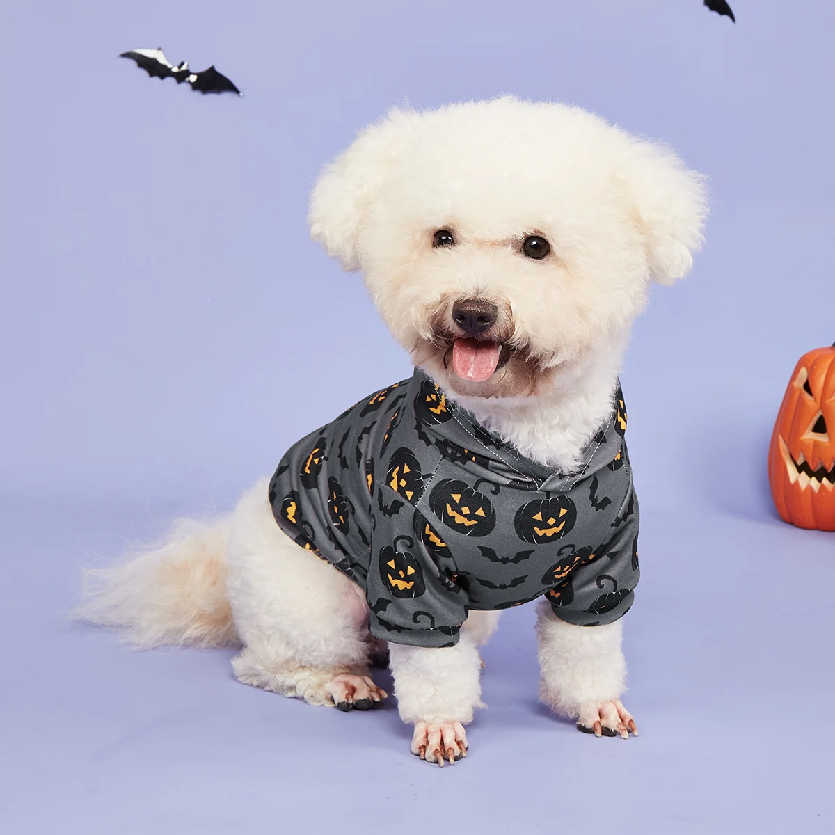 Sudadera con capucha para perros, camisas de Halloween, ropa para perros con patrón de calabaza y murciélago, sudaderas para perros, ropa para mascotas, cuello alto P - imagen 3