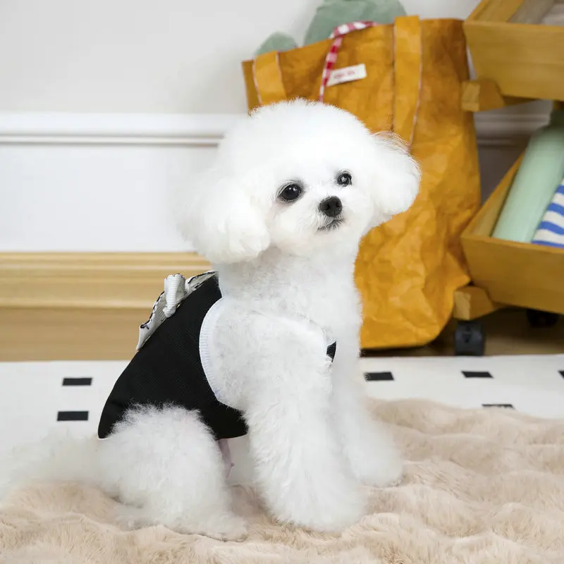 Chaleco fino de verano para perros, ropa transpirable para mascotas para perros pequeños y medianos, camiseta bonita para cachorros, ropa para Chihuahua Yorkie, accesorios para perros - imagen 5