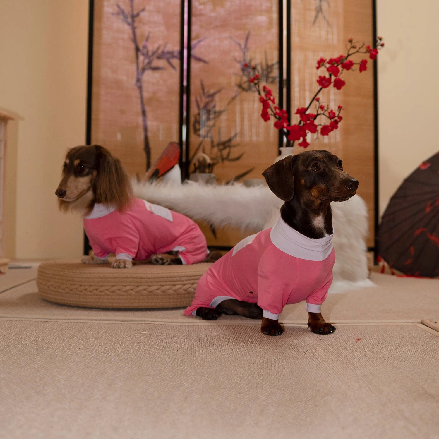 Camiseta veraniega perro salchicha: secado rápido y protección solar - imagen 4
