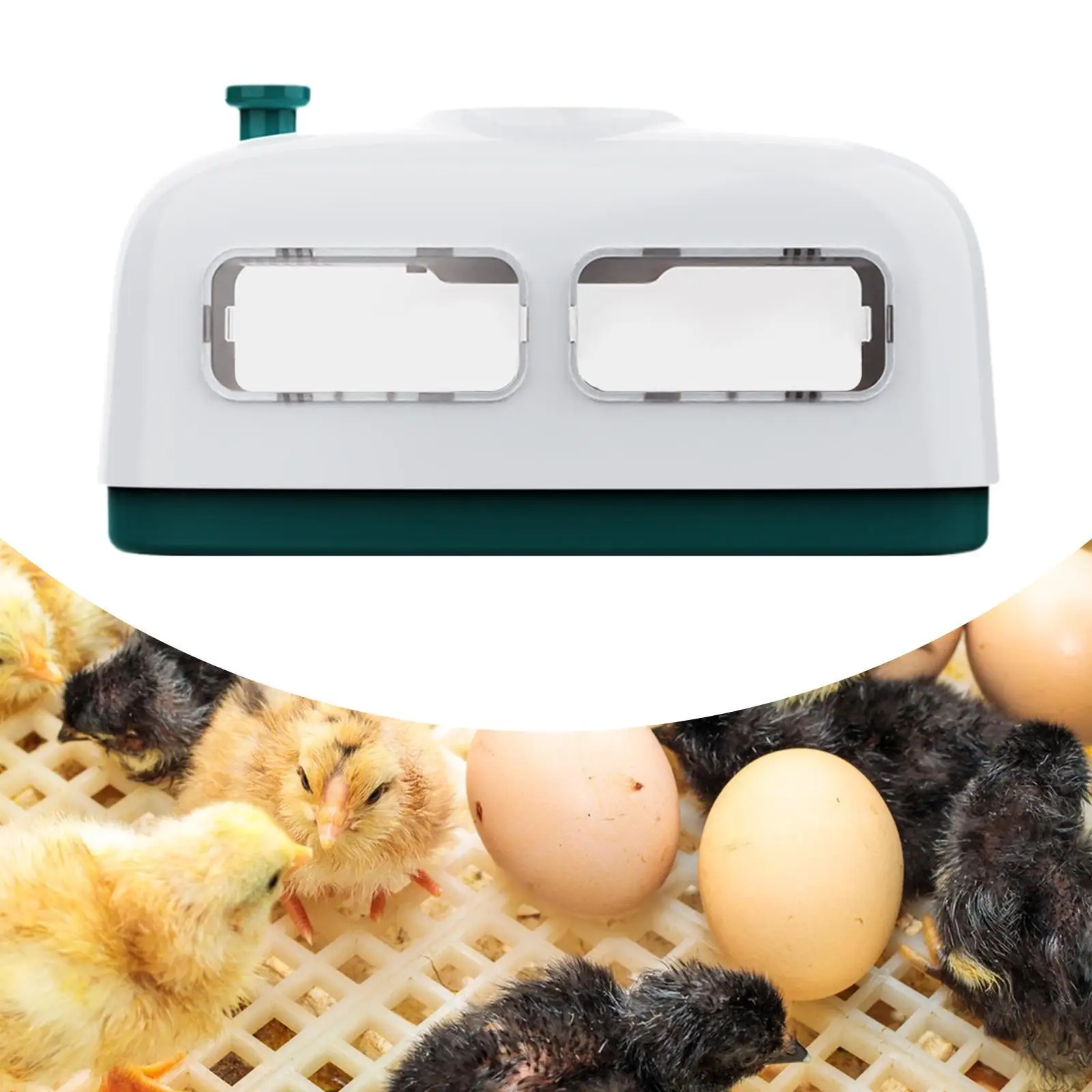 Egg Incubator Manual Egg Turning, Poultry Hatcher Machine, 8 Hatching Incubator Chicken Hatcher for Chick Birds Chicken Egg Incubator Manual Egg Turning, Poultry Hatcher Machine, 8 Hatching Incubator Chicken Hatcher for Chick Birds Chicken