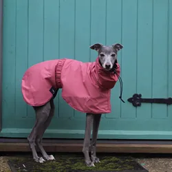 Chubasquero impermeable ajustable para perros grandes y medianos