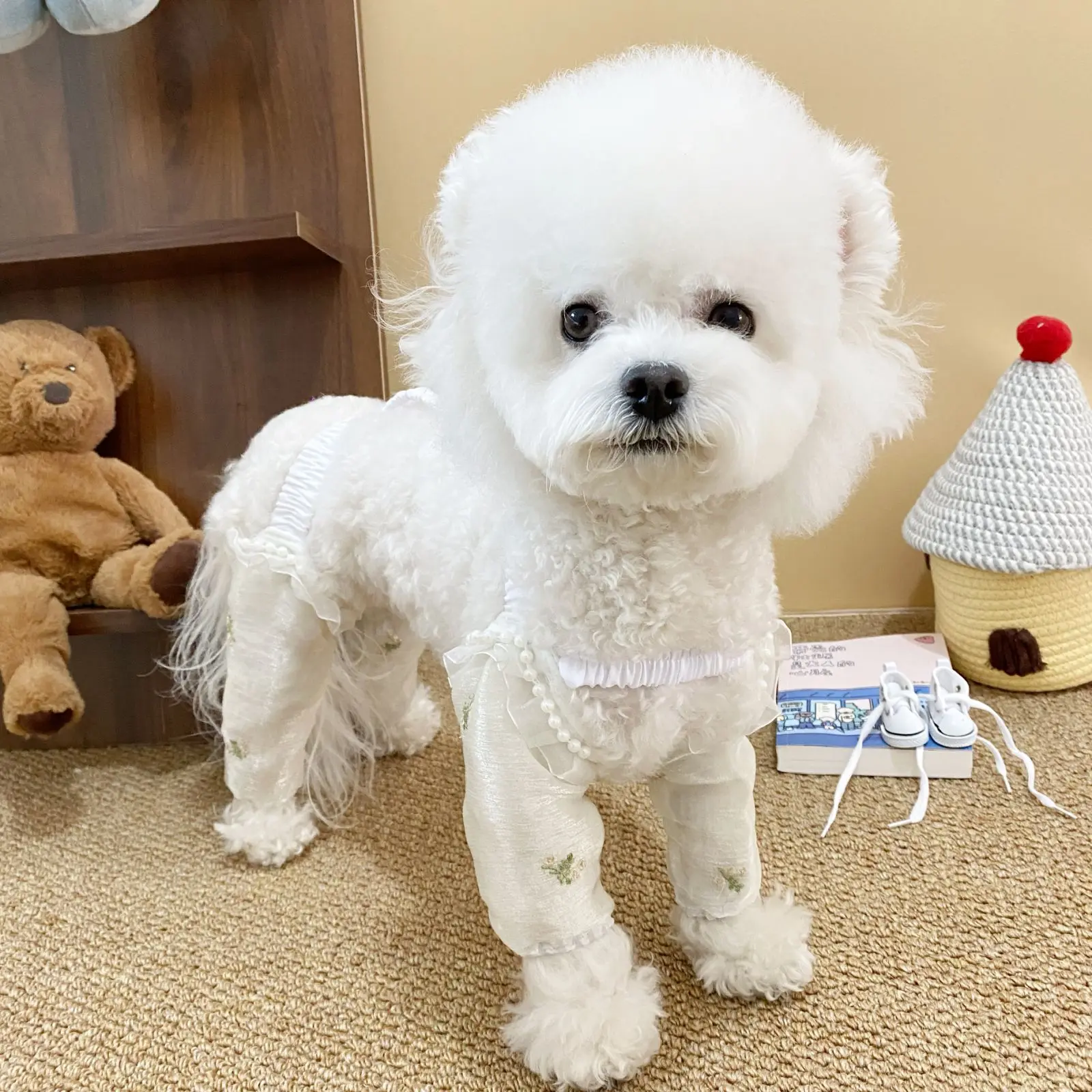 Mono de primavera para mascotas, pantalones antipolvo para exteriores para perros, pantalones para caminar de cuatro patas, cubrepiernas, ropa para cachorros de peluche para perros pequeños