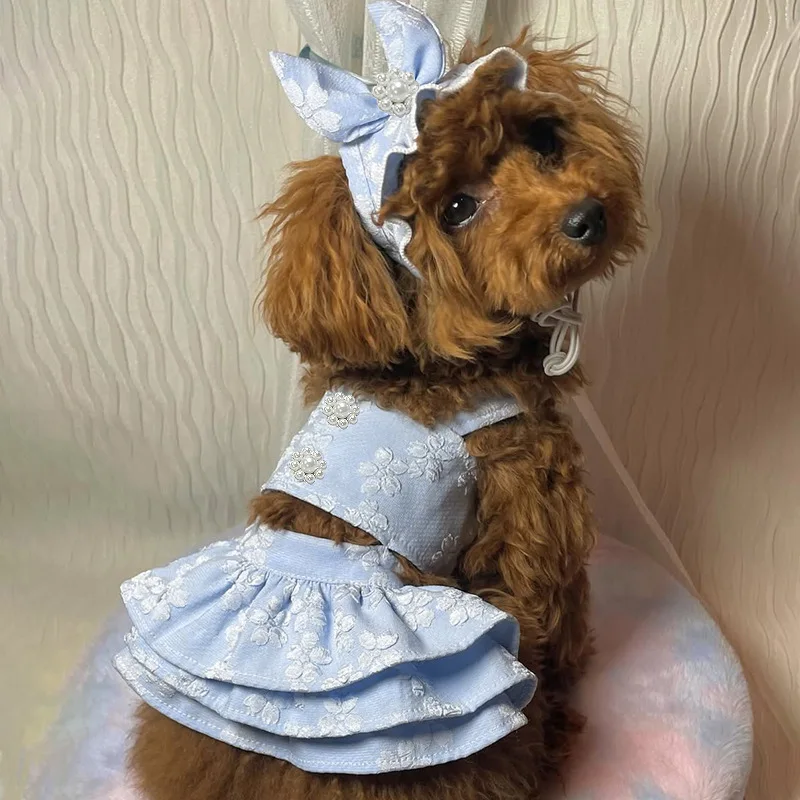Ropa de primavera para mascotas, mono, vestido bordado de princesa para gatos, sombrero, cumpleaños, perro pequeño, oso de peluche, ropa para mascotas