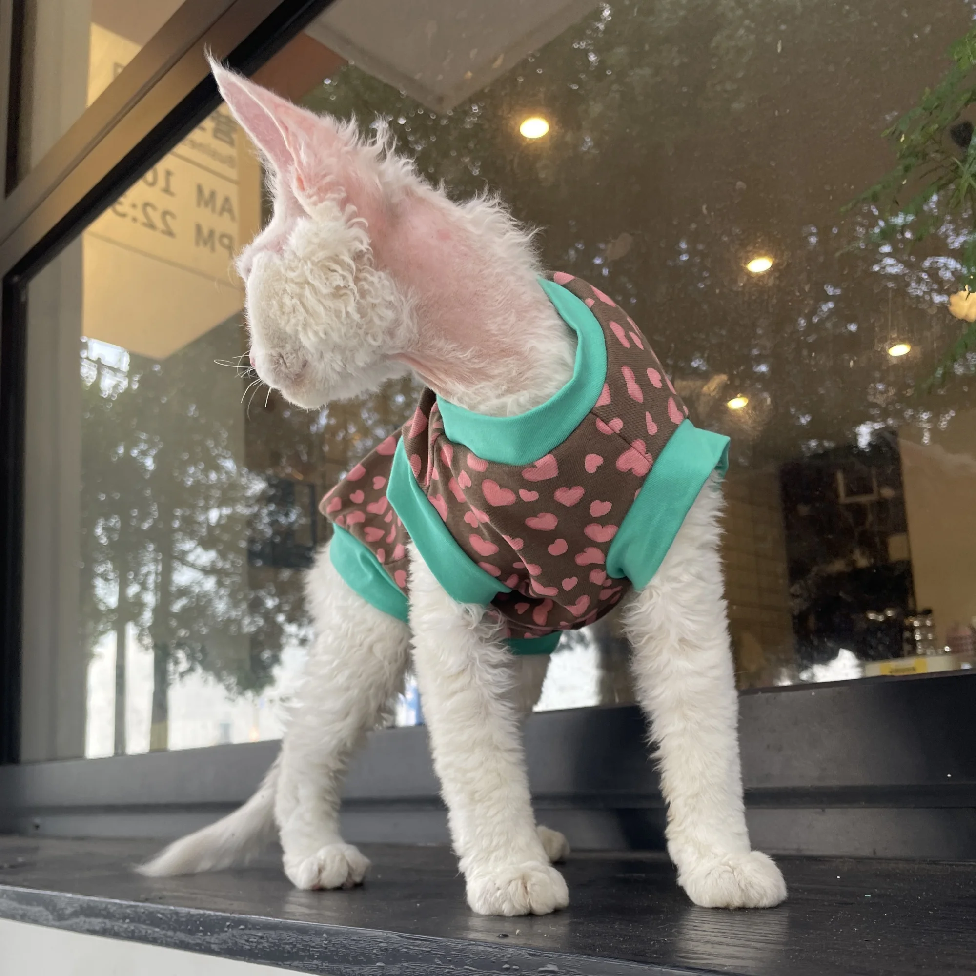 Chaleco de algodón ligero de verano para Devon Rax, camiseta con estampado de leopardo rosa suave y agradable para la piel para gato sin pelo, abrigo fino de primavera para mascotas - imagen 2