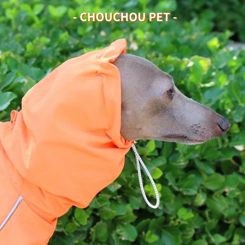 Chubasquero impermeable para Galgo Italiano - Otoño Invierno - imagen 4