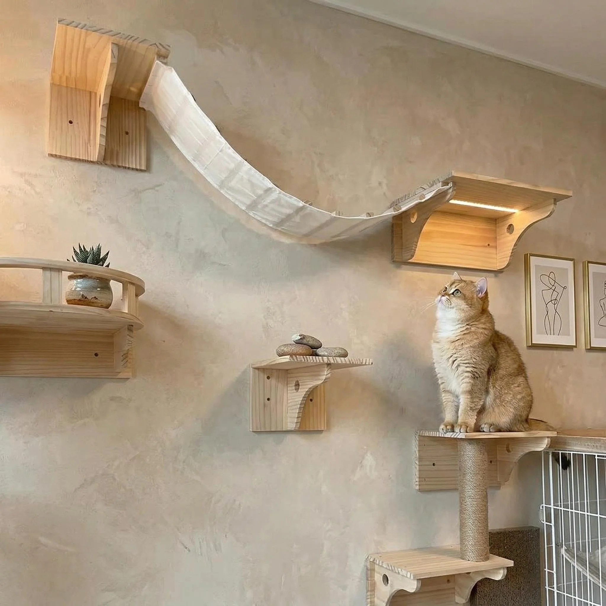 Estantes trepadores con torre de escalada para gato - imagen 5