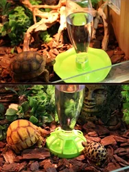 Bebedero de agua automático para reptiles, tazón de comida, plato redondo para lagarto, alimentadores de flores de loto y lagarto, productos para mascotas, 1 ud.