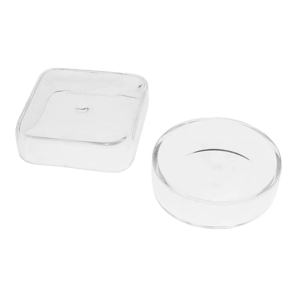 Comedero para gatos y perros en vidrio transparente – Plato para camarones - imagen 2