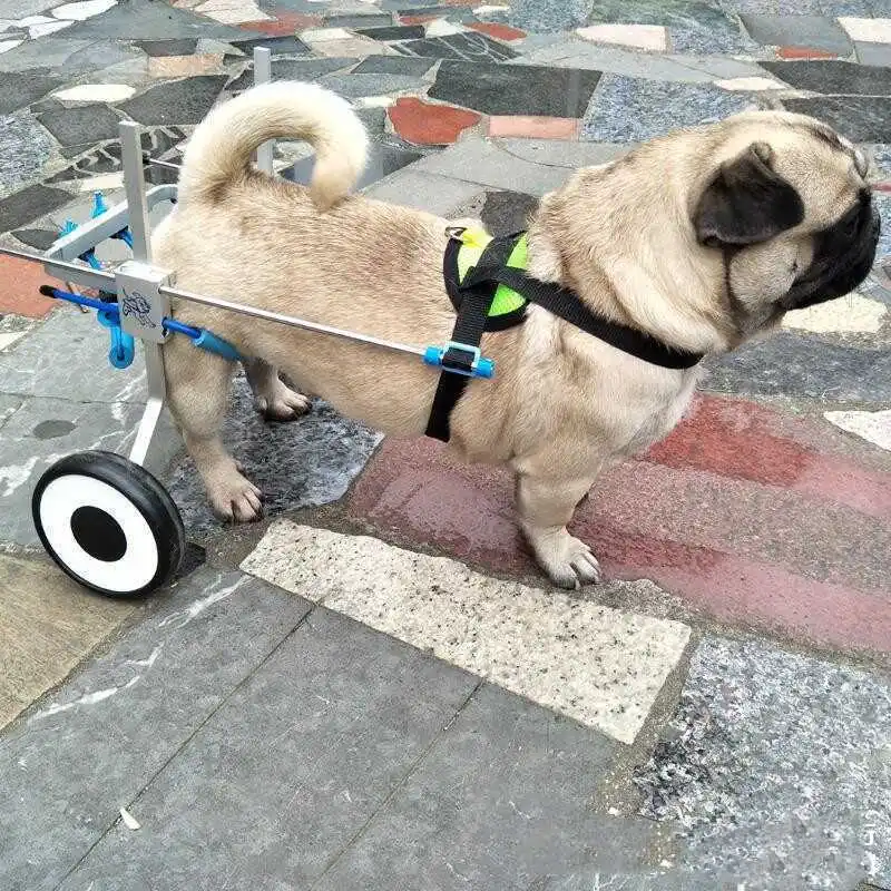 Silla de ruedas para perros – Carrito de asistencia para caminar - imagen 2