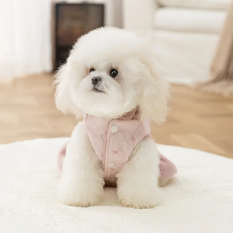 Chaqueta cálida de felpa con capucha para mascotas, abrigo de invierno y otoño, bonito vestido para perros, ropa de princesa para perros pequeños - imagen 4