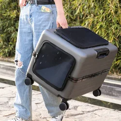 Transportín con ruedas para gatos – Bolsa transparente y portátil