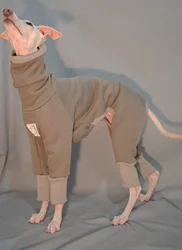 Mono gris para perros y cachorros - abrigo de terciopelo cálido