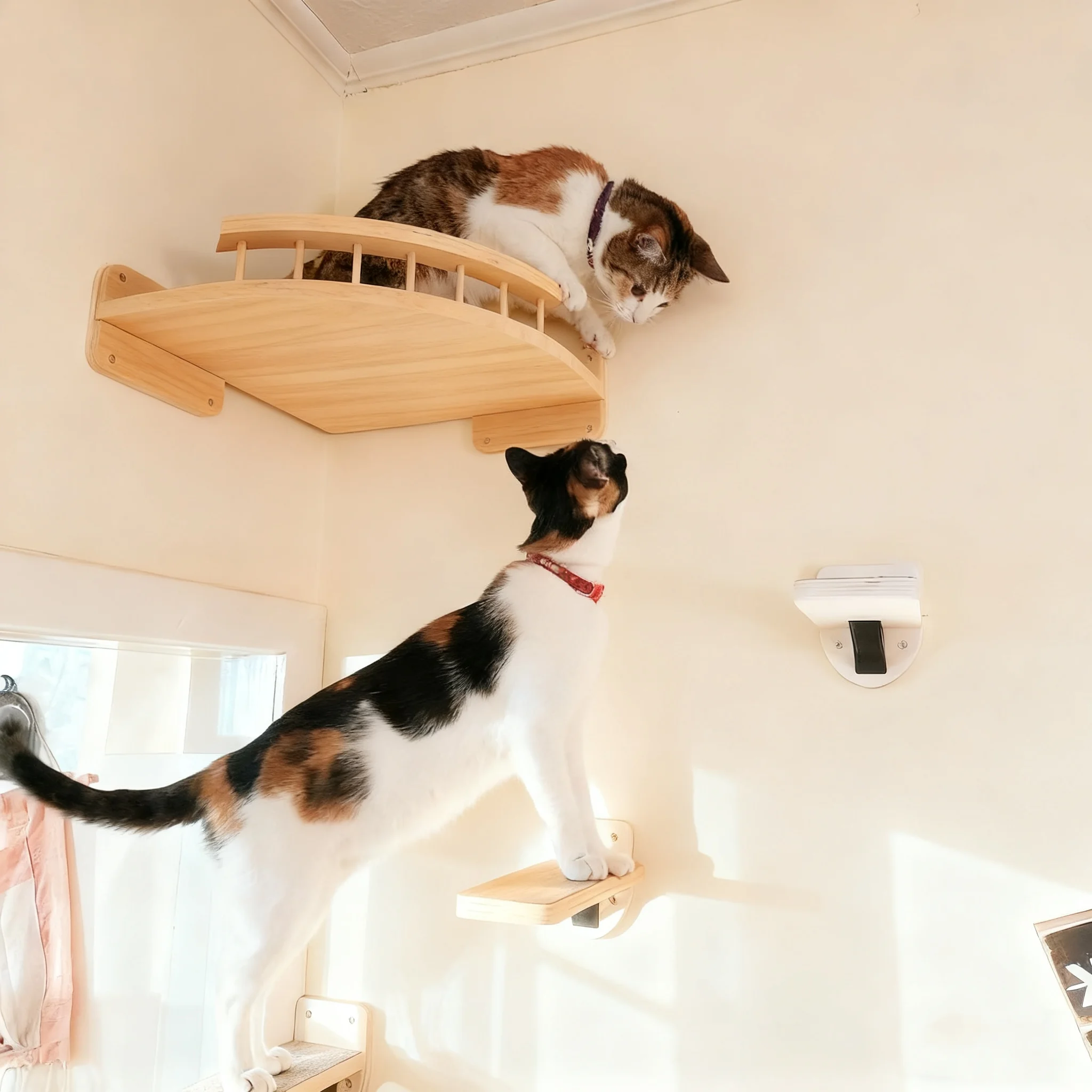 Juego de estantes montados en la pared Plataforma de observación de esquina con plataforma de salto pequeña para escalar y dormir de gatitos - imagen 2
