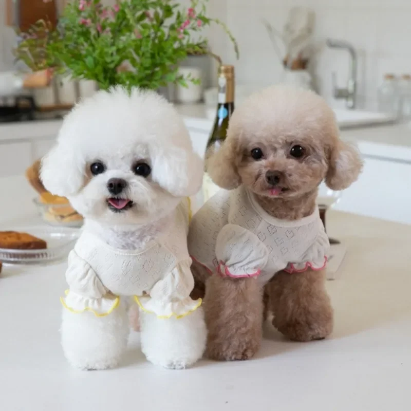 Ropa de diseñador de moda de invierno para cachorros, camisa con base de amor, camiseta con borde de oreja de madera, ropa bonita para el hogar para mascotas, suéter para perros de peluche - imagen 3