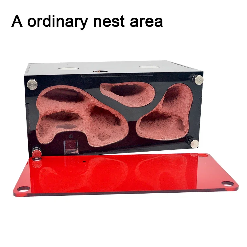 Normal nest area-A