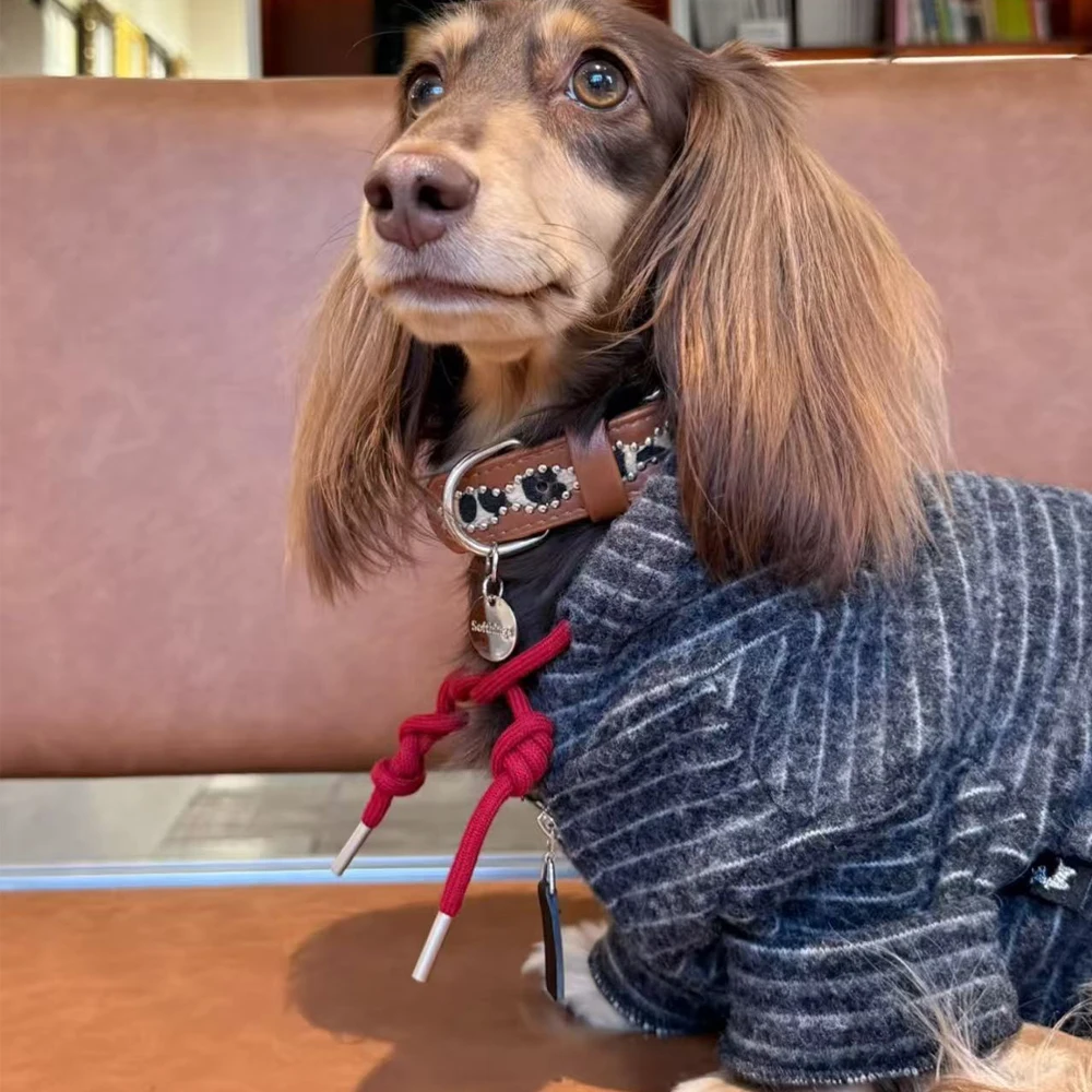 Abriguo con capucha para Dachshund y perros pequeños - imagen 5