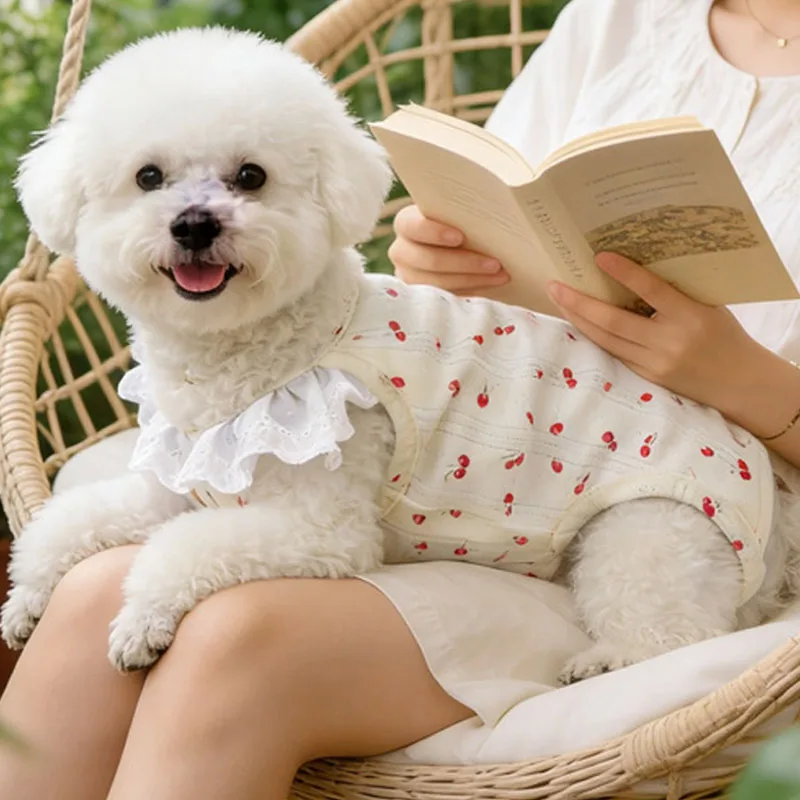 Mono verano para perras pequeñas – Pijama suave para Chihuahua, Yorkshire y Bichón - imagen 4