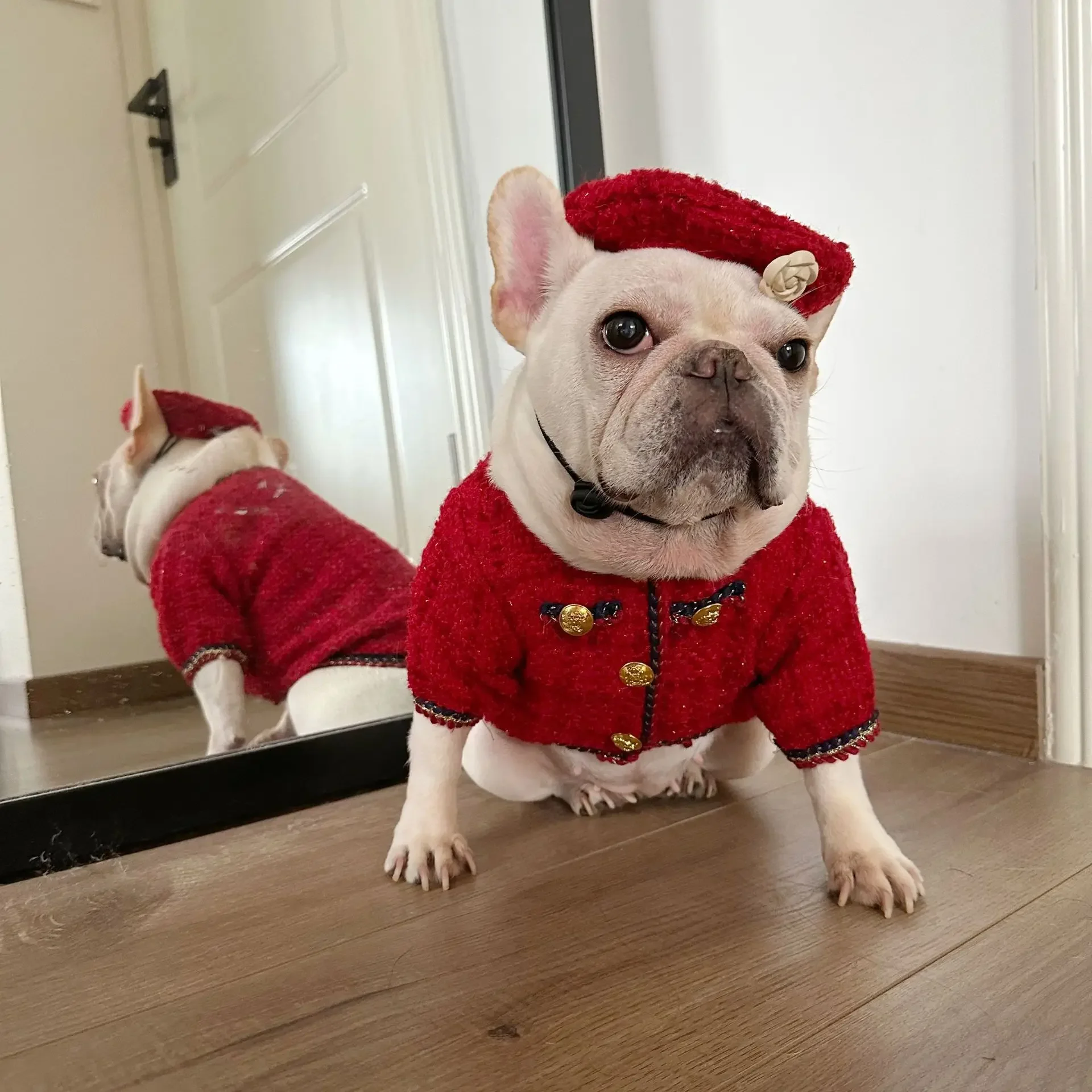Ropa clásica a cuadros para perro, conjunto de chaqueta y sombrero exquisito para perro, Bulldog Francés, Schnauzer para perro mediano Samll, nuevo, Invierno - imagen 3