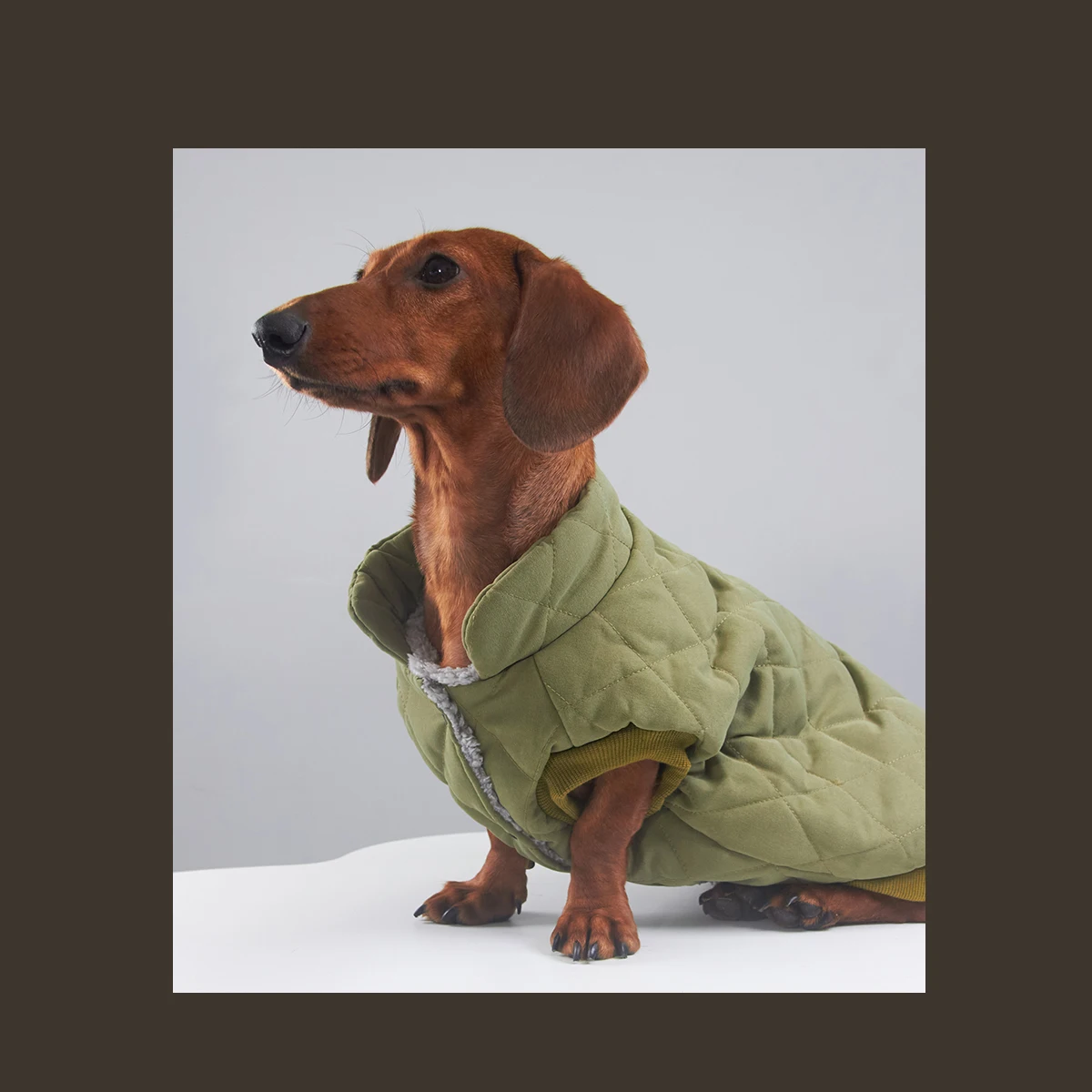 Chaqueta de invierno de lana gruesa para perros Wiener, abrigo verde cálido de otoño para perros tejón, mangas cortas para perros salchicha - imagen 4