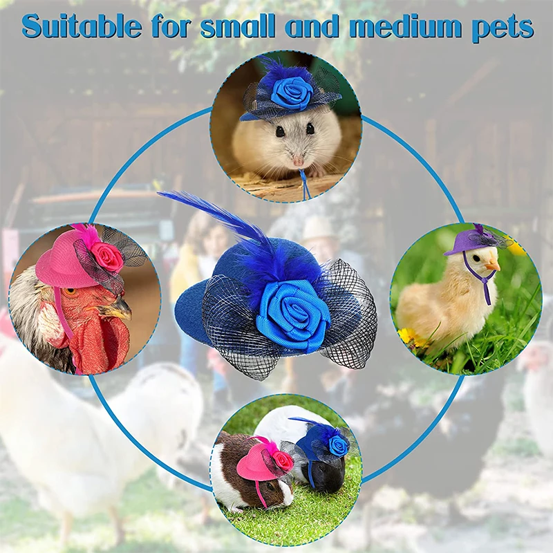 Sombrero de pollo para gallinas y mascotas pequeñas, accesorios divertidos de pollo, sombrero de copa de plumas, gallo, pato, loro, hámster, aves de corral, disfraz de espectáculo elegante - imagen 5