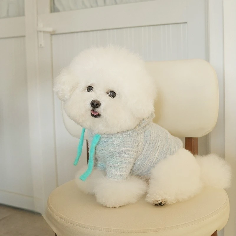 Suéter de punto elástico Simple para otoño e invierno para mascotas, suéter con capucha de felpa, ropa para cachorros con capucha de otoño e invierno