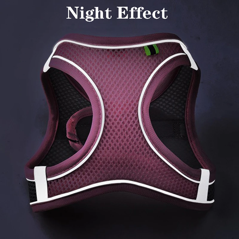 CDDMPET-arnés de malla transpirable para perros y gatos pequeños, conjunto de Correa y chaleco para cachorros, correa de plomo para caminar, suministros para mascotas - imagen 2