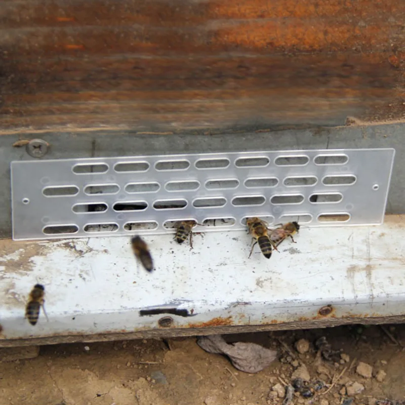 Apicultor Anti Escape Run Fly Away Bees Queen plástico espaciador Ward colmena bloqueador barrera hoja nido puerta suministros 20/40 Uds - imagen 2