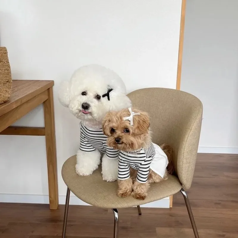 ลูกไม้สัตว์เลี้ยงสุนัขลายชุดสัตว์เลี้ยงฤดูร้อนเสื้อผ้าแมวตุ๊กตาคู่ชุดลูกสุนัขเสื้อกั๊ก Maltese Anti-Shedding กระโปรงสัตว์เลี้ยงอุปกรณ์ - imagen 2